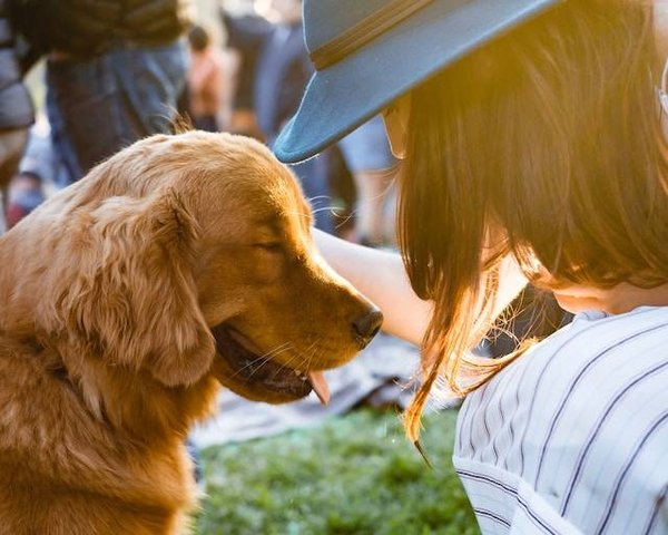 Les fonctions vitales du service pédagogique pour animaux