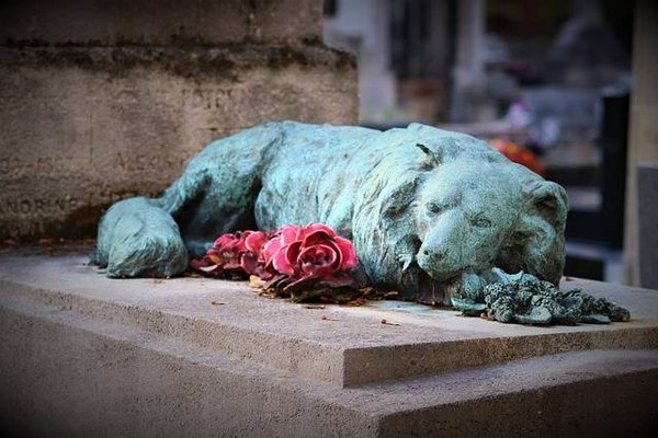 Service funéraire pour animaux - Comment honorer la vie de votre animal bien-aimé